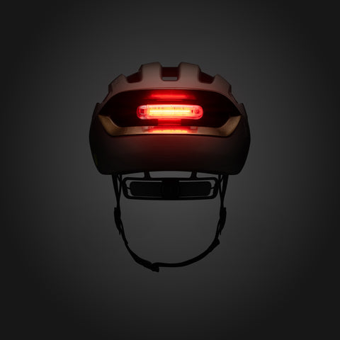 CASCO FIZIK KUDO BRONZE + LIGHT