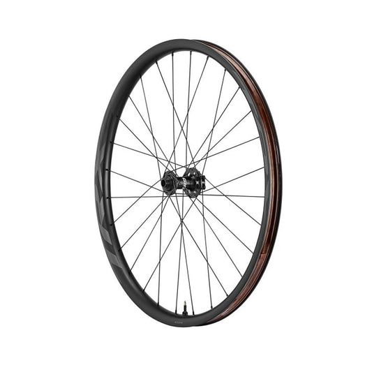RUEDA GIANT TRX 2 29 BOOST FW MY21