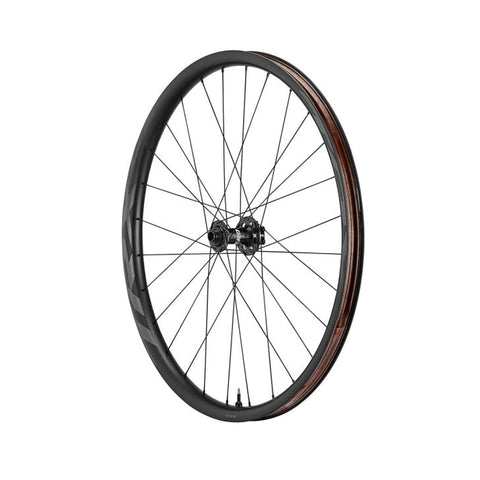 RUEDA GIANT TRX 2 29 BOOST FW MY21