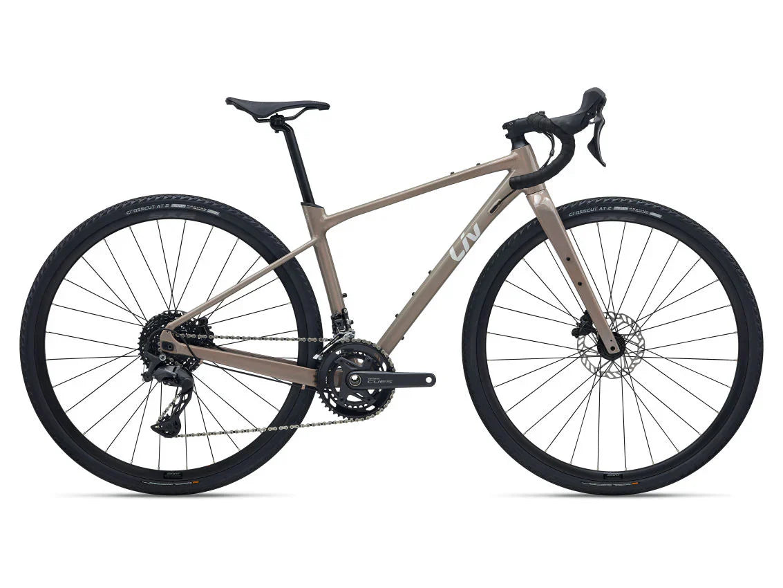 BICICLETA GRAVEL LIV DEVOTE 1