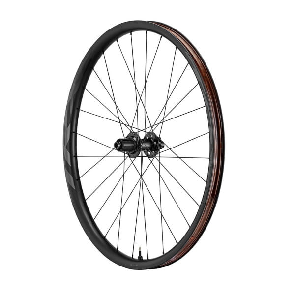 RUEDA GIANT TRX 2 29 BOOST RW MY21