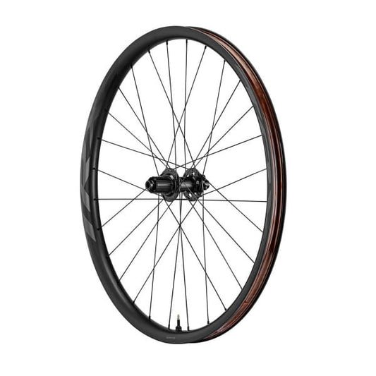 RUEDA GIANT TRX 2 29 BOOST RW MY21
