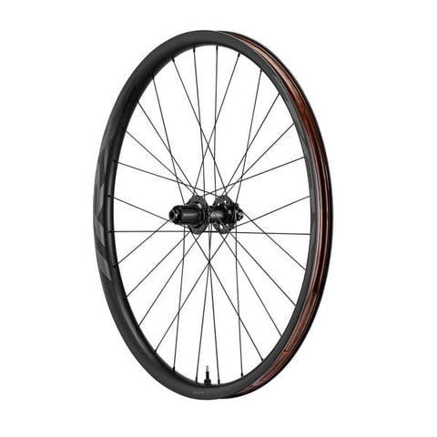 RUEDA GIANT TRX 2 29 BOOST RW MY21